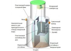 Панда Кинг 50